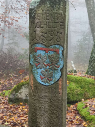 Leistadt, 
Sieben-Waldwunder-Weg,
10. November 2024 